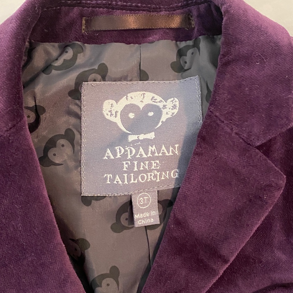 Appaman Kids Velvet Blazer and Pants Suit - Picture 5 of 7